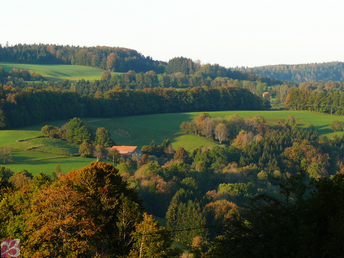 Kursort